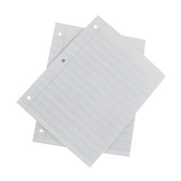 [01437-DOB. LINEA] HOJAS CARTA PACASA BX100 DOBLE LINEA (12)