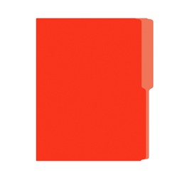 [01242-NARANJA] FOLDER FLASHFILE CARTA NARANJA